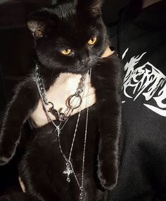 a black cat with chains around it's neck sitting on top of a person