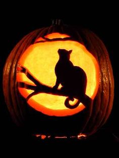 a pumpkin carved to look like a cat sitting on a tree branch with the moon in the background