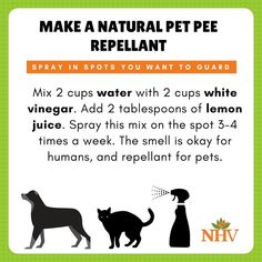 the instructions for how to make a natural pet repellent info sheet with pictures