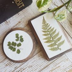 two coasters sitting on top of a wooden table next to a potted plant