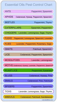 Essential oils Plant Lice, Yl Oils, Bug Repellent, Young Living Oils, Doterra Oils, Oil Uses, Essential Oil Uses