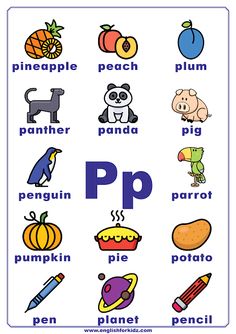 the letter p is for pumpkin and other things that are in this alphabetical poster