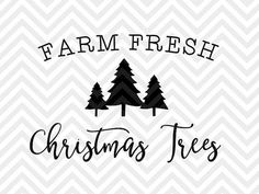 farm fresh christmas trees svt