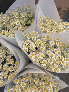 several bouquets of daisies in white paper wrapped around each other