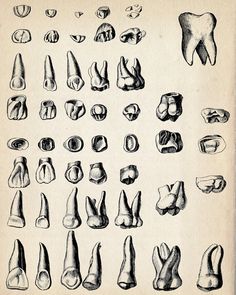 an old book with drawings of different types of feet