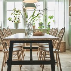 a dining room table with chairs around it and plants in the vase on the table