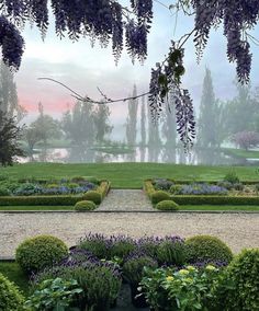 a garden with lots of purple flowers in it