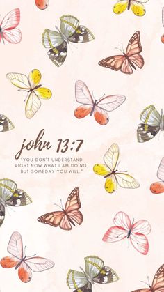 a bunch of butterflies flying in the air with text that reads, john 13 7