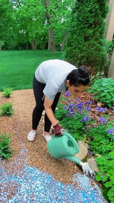 a woman is watering water in her garden with blue flowers and green trees behind her