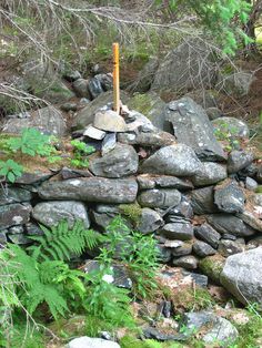 a pile of rocks sitting on top of a lush green forest covered in lots of trees