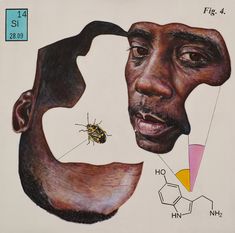 a drawing of a man's stomach and insect