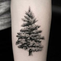 a black and white photo of a pine tree tattoo on the right inner arm or leg