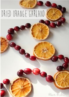 orange slices and cranberries are arranged in the shape of an ornament