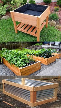 several different types of raised garden beds with plants growing in them and on the ground