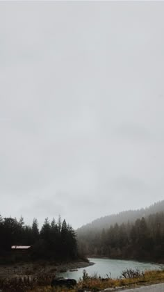 an empty road near a body of water with trees in the background on a foggy day