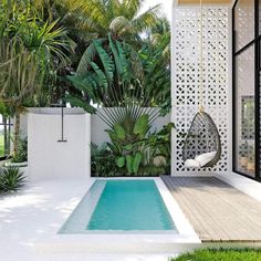 an outdoor pool surrounded by greenery and hanging hammock chair in the foreground