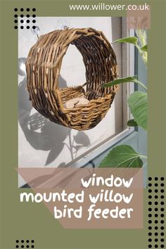 A round bird feeder made from willow and attached to a window.