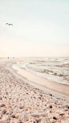 two birds flying over the ocean on a sandy beach with footprints in the sand and waves