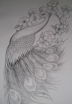 a drawing of a peacock with flowers on it's tail and feathers in the foreground