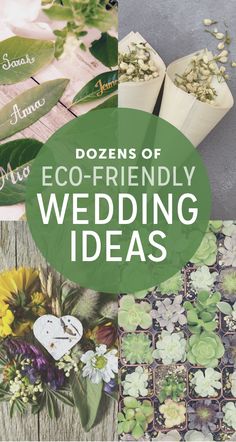 the words dozens of eco - friendly wedding ideas are surrounded by flowers and succulents