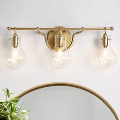 a bathroom light with three bulbs on the wall next to a mirror and potted plant