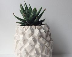 a white ceramic planter with a succulent in it's centerpiece