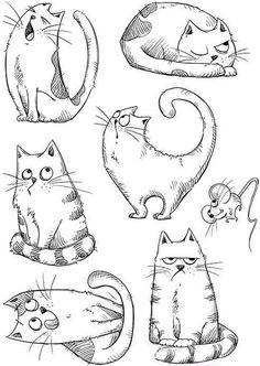 an image of cats in different poses