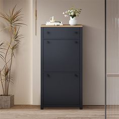 a tall black cabinet sitting next to a potted plant in a room with beige walls