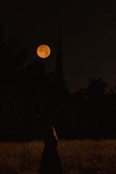 a person standing in a field at night with the moon behind them