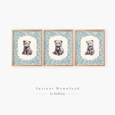 three framed pictures of bears in blue and white with the words instant download on them