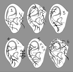 the stages of an ear and how to draw it