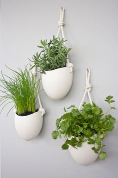 three white hanging planters with plants in them