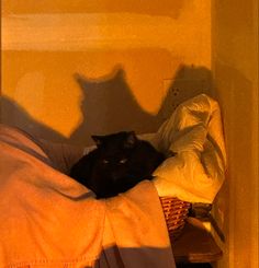 a black cat laying on top of a bed next to a yellow wall with the shadow of a person's head