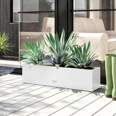 a pair of boots sitting on top of a planter next to a pool