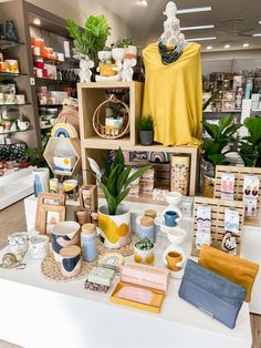 a table topped with lots of different types of vases and pots filled with plants