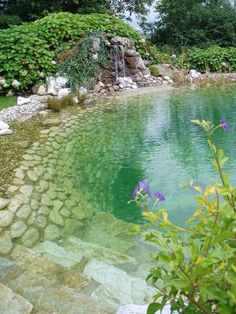 a small pond surrounded by rocks and plants