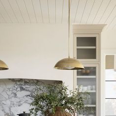 a potted plant sitting on top of a table next to two hanging lights above it