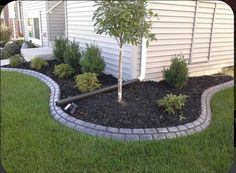 a small tree is in the middle of a flower bed and some bushes are around it