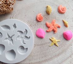 several seashells and starfish shaped fondant moulders on a plate