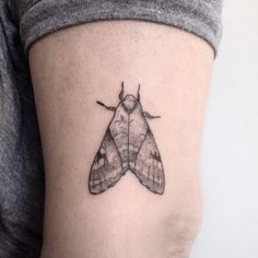 a small moth tattoo on the right side of the thigh