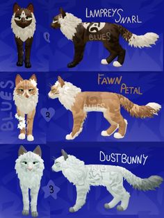 four different types of cats are shown in this graphic style, with the names and description below