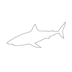 a drawing of a shark on a white background