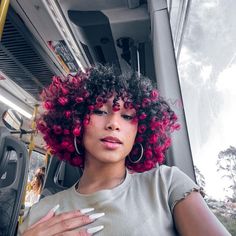 Short Curly Hair With Pink Highlights, Hair Color Ideas Short Curly Hair, Pink Tips Curly Hair, Curly Short Hair Dye Ideas, Multicolor Curly Hair, Hair Dye Ideas For Short Curly Hair, Curly Vivid Hair, Short Curly Hair Red Highlights, Halo Hair Dye Style Curly Hair