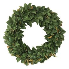 a wreath with green leaves is shown on a white background