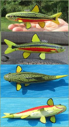 three different types of fish are shown in the same photo, one is yellow and green