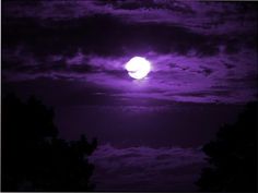 the moon is shining brightly in the night sky with clouds and trees around it,