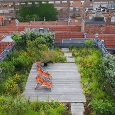 an aerial view of a rooftop garden with benches and potted plants