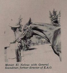 an old black and white photo of a man standing next to a horse with the caption on it