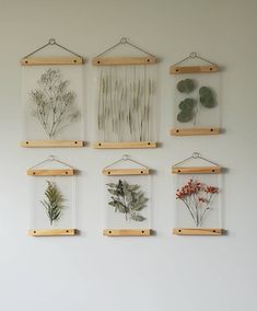 six framed pictures hanging on the wall with plants in glass and wooden frames above them