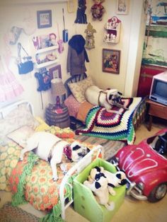 two dogs laying on top of beds in a bedroom next to a tv and toy cars